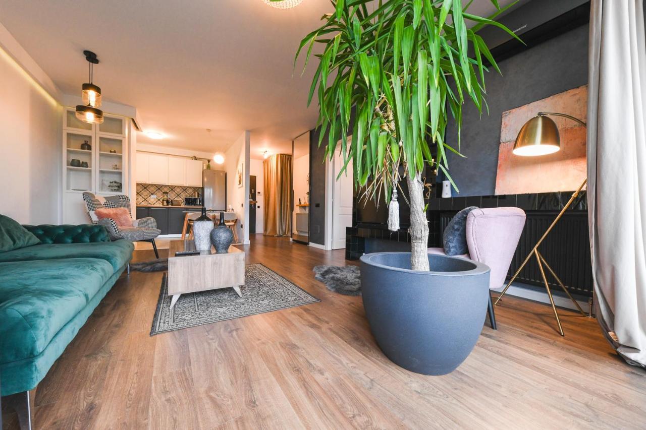 Apartament Grand Park Rose Iulius Mall Kluż-Napoka Zewnętrze zdjęcie